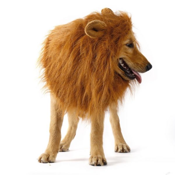 Disfraz de león para perro